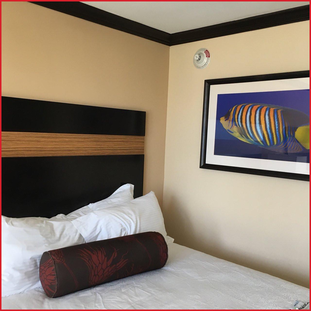 Grand Palms Spa & Golf Resort Pembroke Pines Buitenkant foto